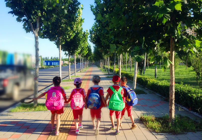 河北省孟村市卓越艺术幼儿园：挑战勇敢之旅