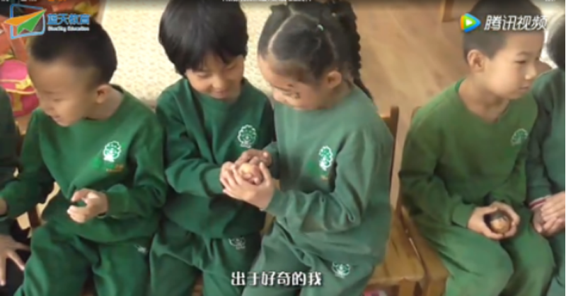 河北省内丘跨世纪蓝天幼儿园：在孩子心中种下感恩的种子