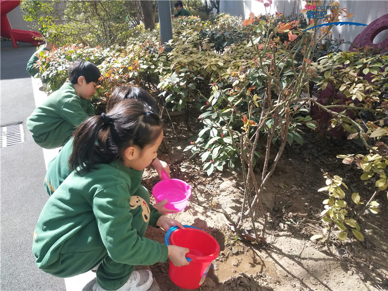 幼儿感恩心的培养，从爱护环境开始