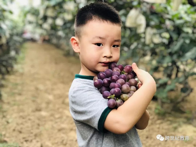 跨世纪蒙氏教育：如何提高孩子生活自理能力？