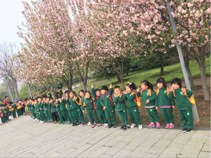 河南省鲁山跨世纪幼儿园：“寻找春天的足迹”338.png