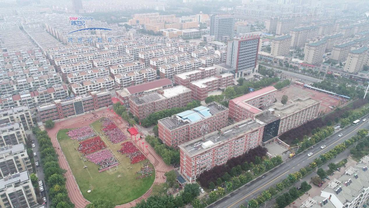 图片50.png